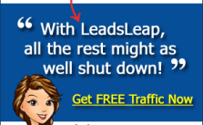 Thank You For Being a LeadsLeap Pro Member